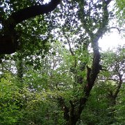 DSC08699