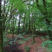 DSC08703