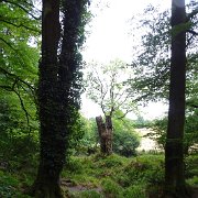 DSC08707