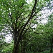 DSC08708