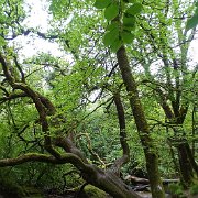 DSC08711