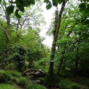 DSC08714