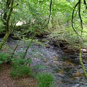 DSC08719
