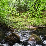 DSC08720