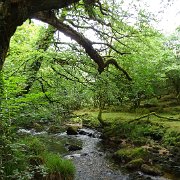 DSC08728
