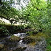 DSC08729