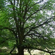 DSC08730
