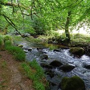 DSC08735