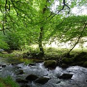 DSC08736