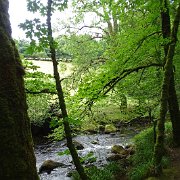 DSC08737