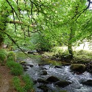DSC08738