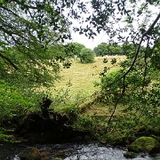 DSC08741