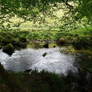 DSC08747
