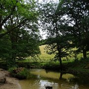 DSC08749