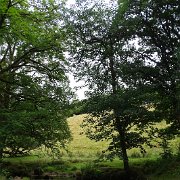 DSC08750