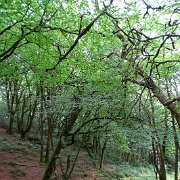 DSC08753