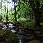 DSC08777