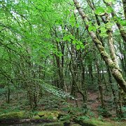DSC08792