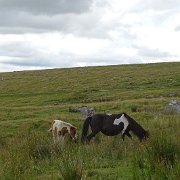 DSC08837