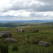 DSC08840