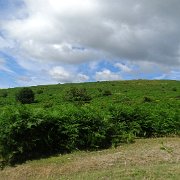 DSC08846
