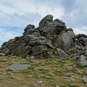 DSC08901