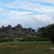 DSC08902