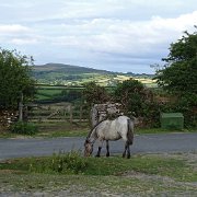 DSC08907