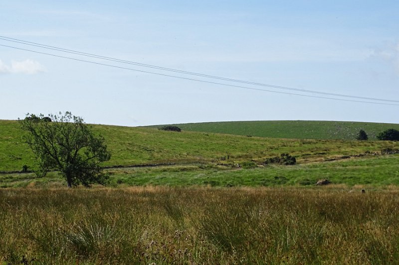 DSC08916