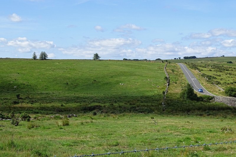 DSC08921