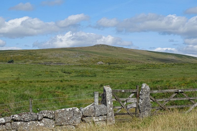 DSC08924