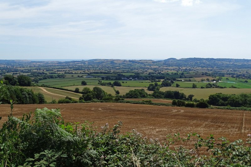DSC08993