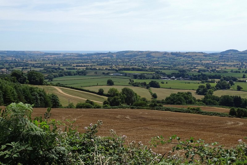 DSC08996