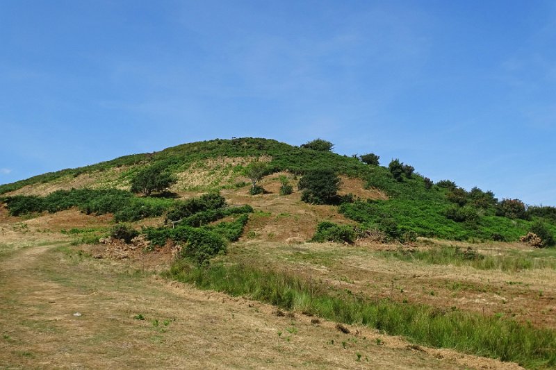 DSC09001