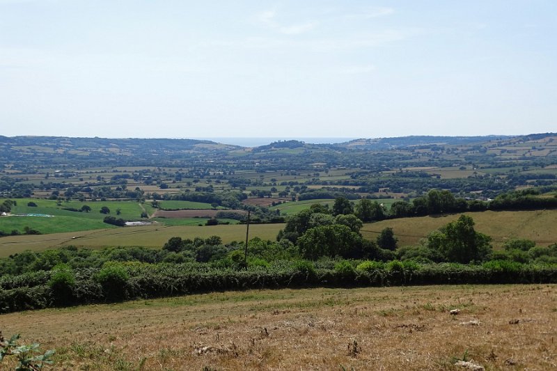 DSC09002