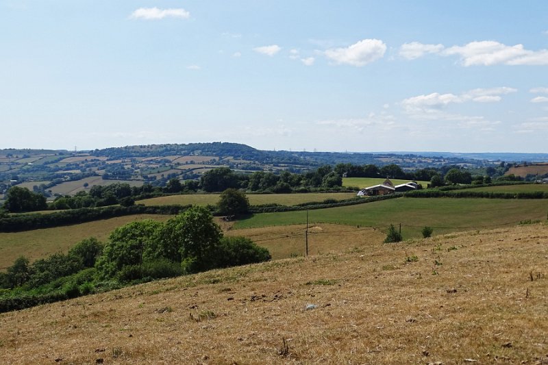 DSC09003