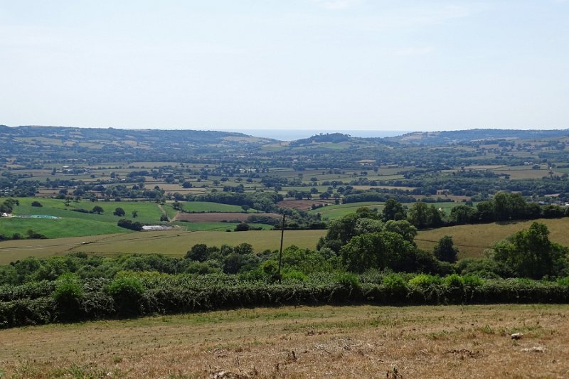DSC09004