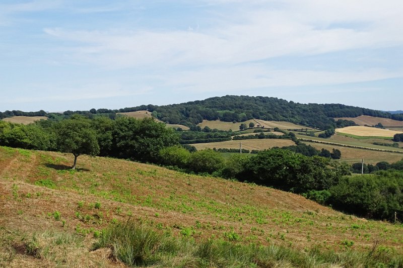 DSC09009