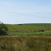 DSC08916