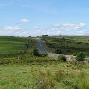 DSC08920