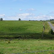 DSC08921
