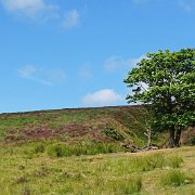 DSC08934
