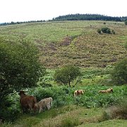 DSC08936