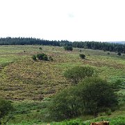 DSC08937
