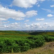 DSC08955