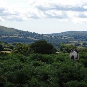 DSC08963