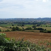 DSC08993