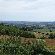 DSC08994
