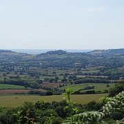 DSC08997