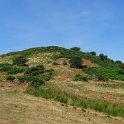 DSC09001